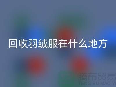 ### 高价米兰（中国）体育官方网站羽绒服在什么地方—诚信可靠合作，上海腾布贸易