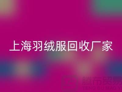羽绒服米兰(中国)体育官方网站:环保与经济的双重考量,上海厂家引领行业新风尚