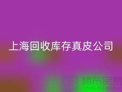 环保与创新：米兰（中国）体育官方网站库存真皮和羊皮的重要性_上海腾布贸易ShTengBu.com
