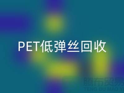 PET低弹丝米兰（中国）体育官方网站-DTY废丝米兰（中国）体育官方网站-涤纶废丝米兰（中国）体育官方网站