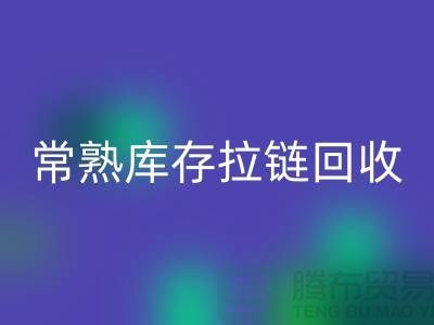 常熟库存拉链米兰（中国）体育官方网站公司市场前景的挑战与支持政策