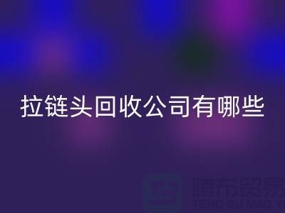 拉链头米兰（中国）体育官方网站公司有哪些名字或者品牌-上海拉链米兰（中国）体育官方网站市场