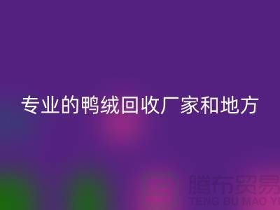 探索鸭绒米兰（中国）体育官方网站：寻找上海专业的米兰（中国）体育官方网站厂家与地方