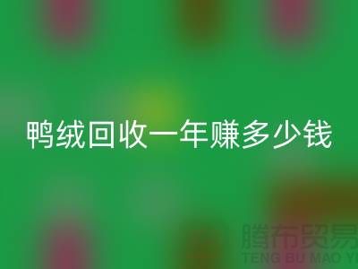 鸭绒米兰（中国）体育官方网站一年挣多少钱？揭秘利润与环保的双重收益