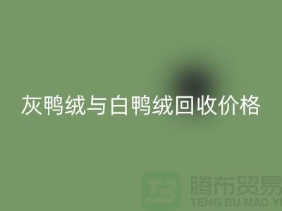 ### 灰鸭绒与白鸭绒：价格及米兰（中国）体育官方网站详解
