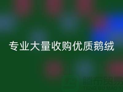 专业羽绒米兰（中国）体育官方网站：大量收购优质鹅绒与鸭绒@上海腾布贸易公司