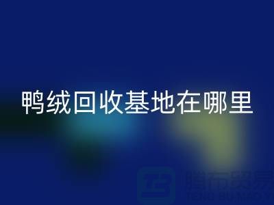 哪里有米兰（中国）体育官方网站鸭绒的，鸭绒米兰（中国）体育官方网站基地在哪里@安徽羽绒米兰（中国）体育官方网站厂家