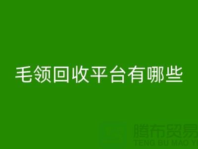 毛领米兰（中国）体育官方网站平台有哪些公司或者品牌