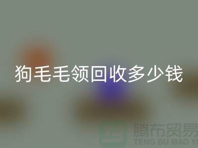 狗毛毛领米兰（中国）体育官方网站多少钱一条