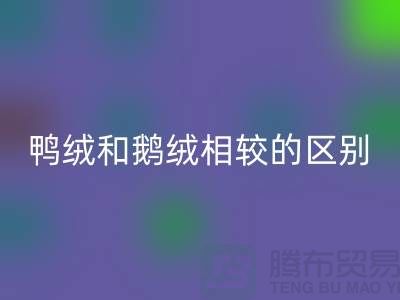 鸭绒和鹅绒相较后的区别-90鸭绒米兰（中国）体育官方网站-库存羽绒米兰（中国）体育官方网站公司