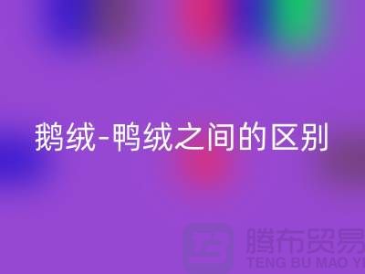 关于鹅绒-鸭绒之间的区别-鹅绒米兰（中国）体育官方网站-鸭绒米兰（中国）体育官方网站-羽绒米兰（中国）体育官方网站厂家