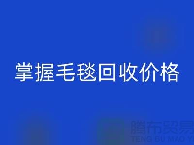 掌握毛毯米兰（中国）体育官方网站价格，让旧物焕发新生价值-南通家纺库存米兰（中国）体育官方网站厂家