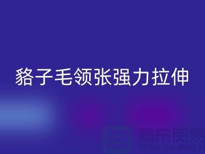 貉子毛领的皮张强力拉伸-为什么不变型-高价米兰（中国）体育官方网站毛领厂家