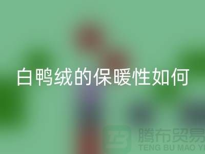白鸭绒的保暖性如何-90鸭绒米兰（中国）体育官方网站-米兰（中国）体育官方网站库存鸭绒-库存鸭绒米兰（中国）体育官方网站公司