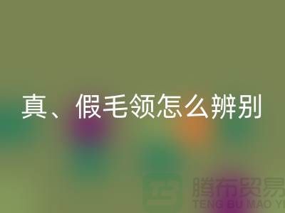 真毛领、假毛领怎么辨别？小心獭兔毛-大量高价米兰（中国）体育官方网站毛领厂家