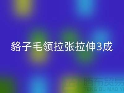 貉子毛领的皮张拉伸3成,痕迹客户也看不出来-米兰(中国)体育官方网站毛领厂家
