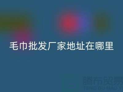 竹纤维毛巾批发厂家地址在哪里-上海腾布贸易