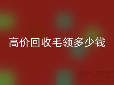 假毛领子和貉子毛领的特点-高价米兰（中国）体育官方网站毛领多少钱一条-米兰（中国）体育官方网站毛领厂家