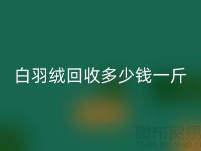 白鸭绒米兰（中国）体育官方网站_灰鸭绒米兰（中国）体育官方网站_羽绒米兰（中国）体育官方网站多少钱一斤_米兰（中国）体育官方网站羽绒厂家