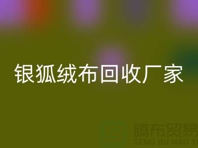 银狐绒布米兰(中国)体育官方网站厂家:让旧衣物焕发新生-服装面料米兰(中国)体育官方网站公司