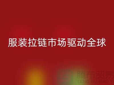 服装拉链市场驱动全球_箱包拉链米兰(中国)体育官方网站公司