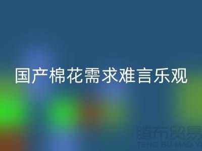 国产棉花需求难言乐观-米兰（中国）体育官方网站库存棉纱-库存棉纱米兰（中国）体育官方网站公司