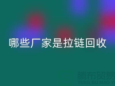 哪些厂家是拉链米兰（中国）体育官方网站的领导者-库存拉链米兰（中国）体育官方网站厂家排名榜