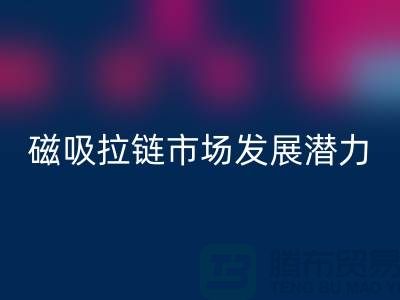 磁吸拉链市场发展潜力研究分析报告_上海拉链米兰（中国）体育官方网站公司