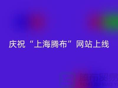 庆祝“米兰（中国）体育官方网站”网站上线