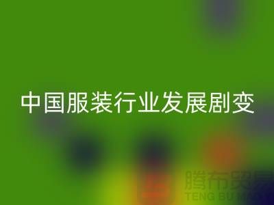 中国服装行业发展剧变-成败重要途径-上海库存服装米兰（中国）体育官方网站公司