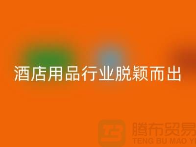 如何在酒店用品米兰（中国）体育官方网站行业中脱颖而出-上海二手毛巾米兰（中国）体育官方网站公司