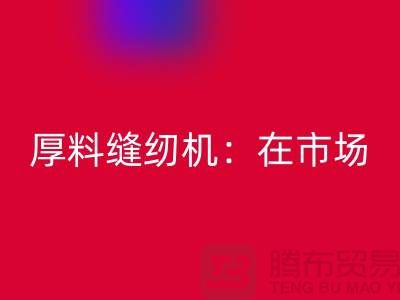 厚料缝纫机：在市场上的细节体现-上海米兰（中国）体育官方网站缝纫机厂家