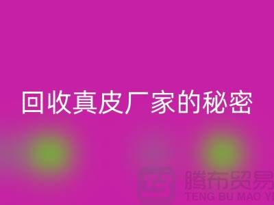 米兰（中国）体育官方网站真皮厂家的秘密：打造环保时尚的循环经济