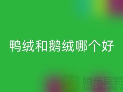 新国标鸭绒和鹅绒哪个好