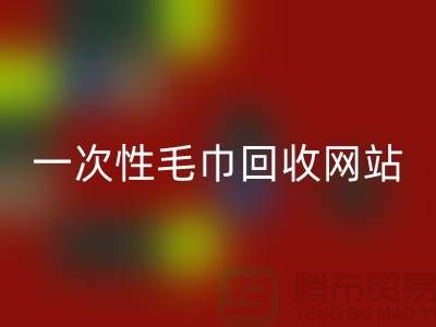 一次性毛巾米兰（中国）体育官方网站网站有哪些？——上海酒店用品米兰（中国）体育官方网站公司