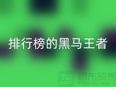 探索拉链品牌排行榜的黑马与王者