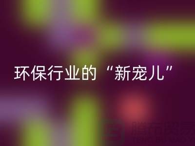 二手米兰（中国）体育官方网站化工原料公司：环保行业的“新宠儿”