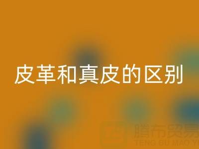 皮革和真皮的区别和耐用度哪个好一点