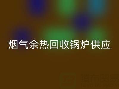 烟气余热米兰（中国）体育官方网站锅炉供应商盘点：行业领先企业及技术解析