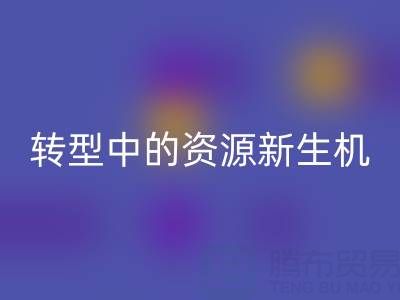 上海服装面料米兰（中国）体育官方网站：绿色转型中的资源新生机