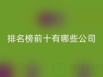 家纺辅料米兰（中国）体育官方网站厂家排名榜前十有哪些公司
