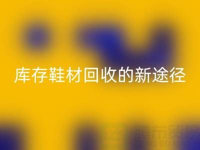 探索库存鞋材米兰(中国)体育官方网站的新途径与新模式