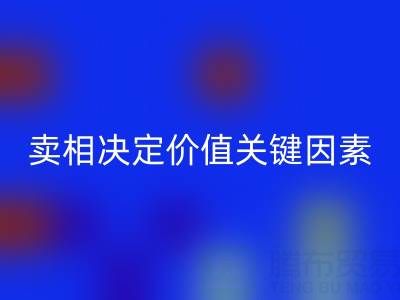 杭州真丝面料米兰（中国）体育官方网站价格全解析：卖相决定价值的关键因素