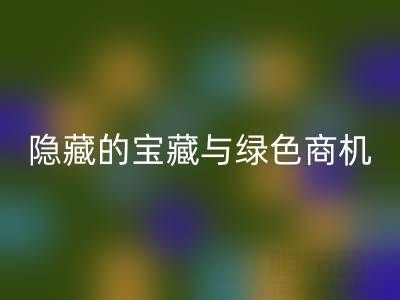 库存辅料米兰(中国)体育官方网站市场:隐藏的宝藏与绿色商机