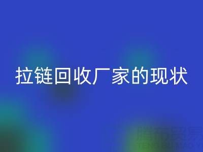 拉链米兰（中国）体育官方网站厂家背后的环保大数据：现状与展望